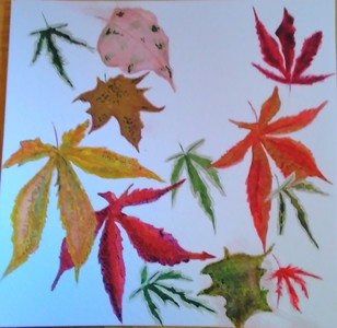 Lynne, Acer leaves from the garden, watercolour. 10.20.jpg